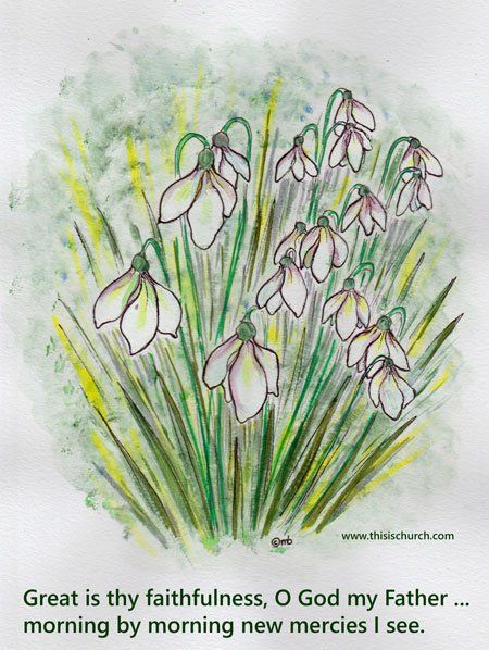 Snowdrops Candlemas Bells