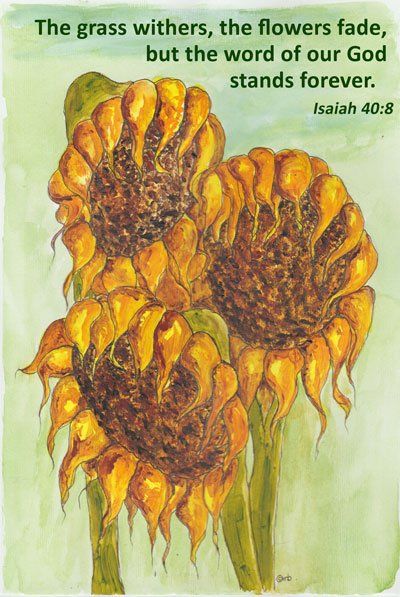 The grass withers but the word of God stands forever