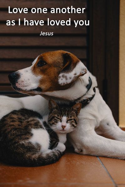 Love one another