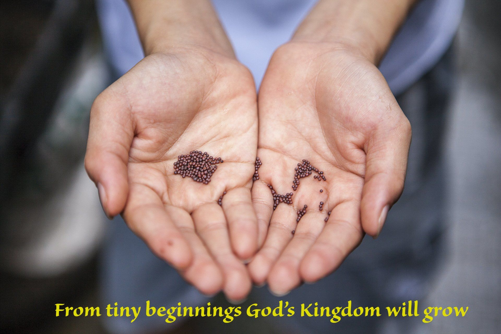 Faith as small as mustard seed