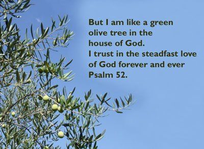 Psalm 52
