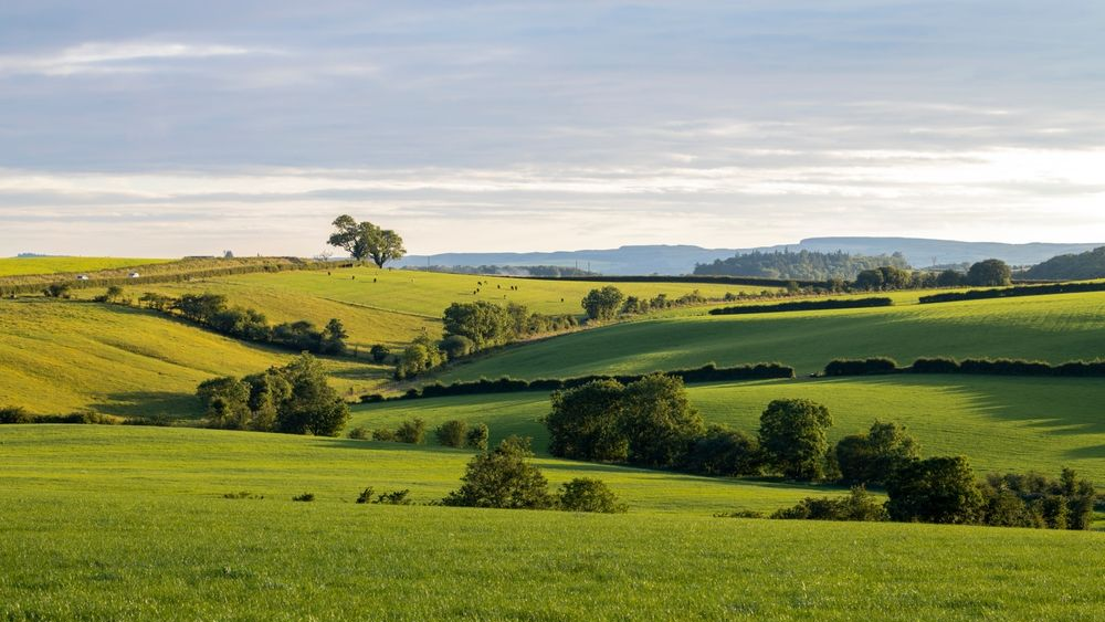 Rolling green hills under a cloudy sky, with trees and bushes interspersed.