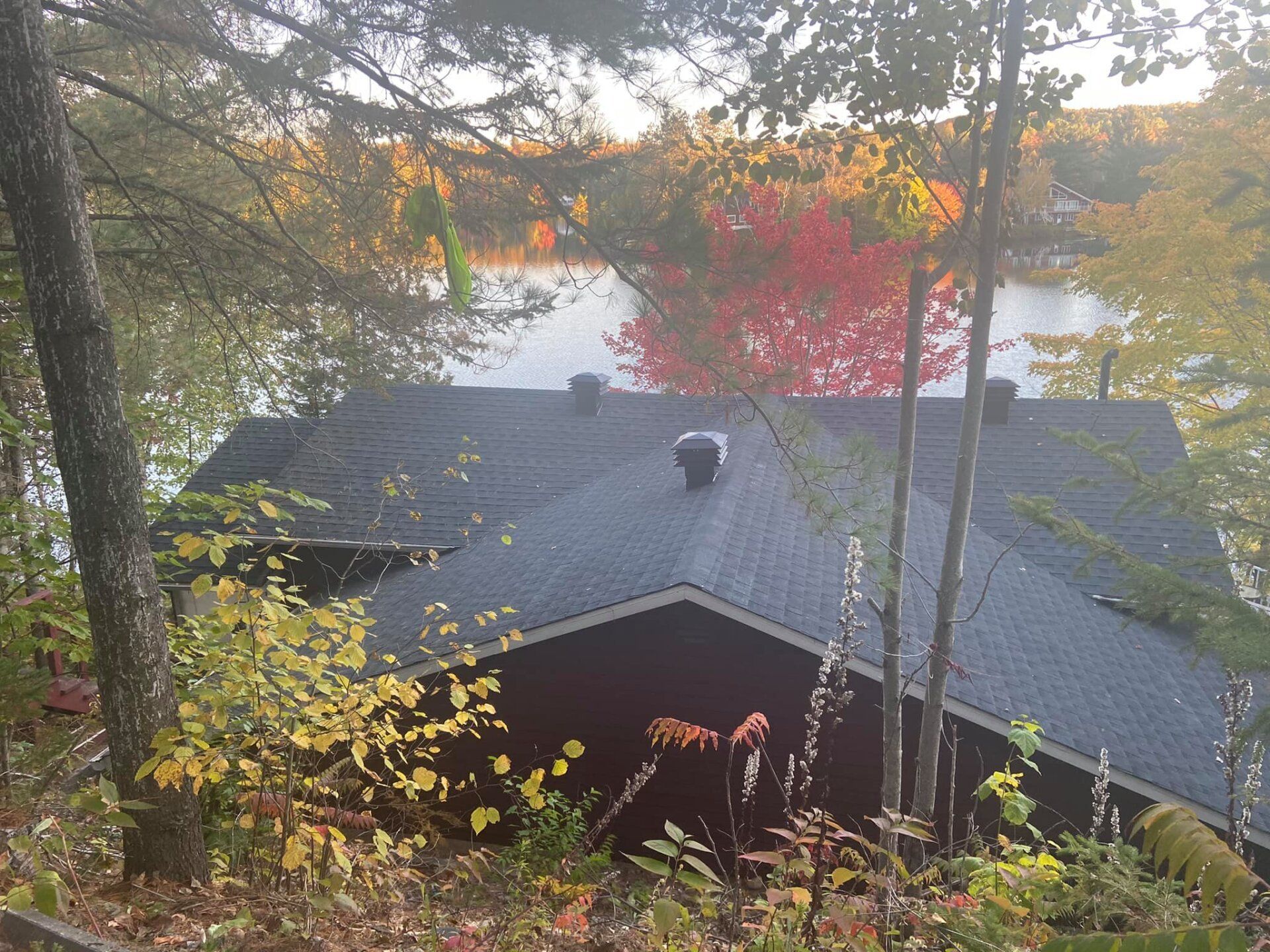 Une maison au toit noir est entourée d'arbres et d'un lac