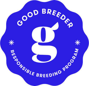 good breeder purple logo