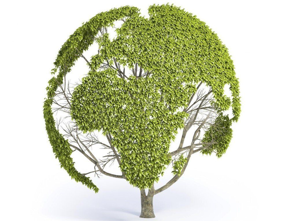 safety-point-green-point-consultoria-meio-ambiente