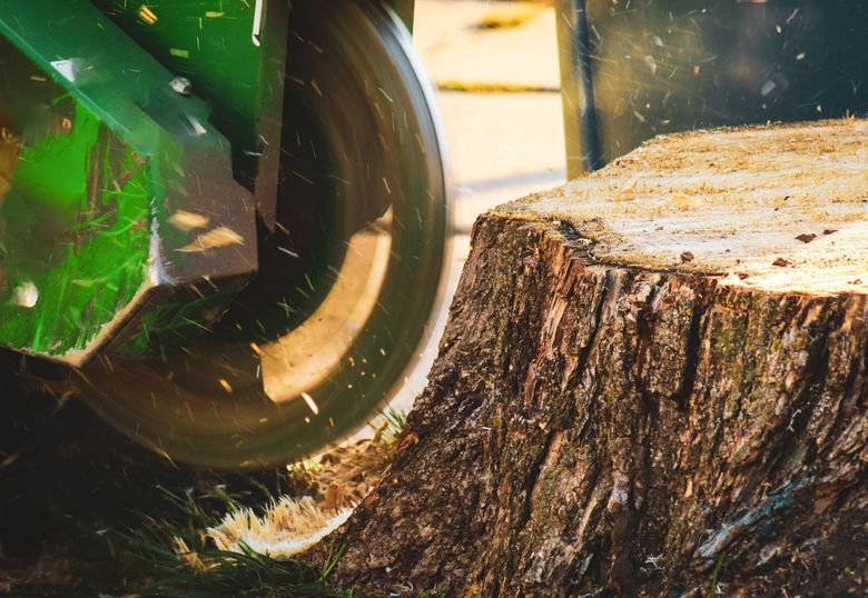 Green tractor cutting a tree stump with a circular saw blade