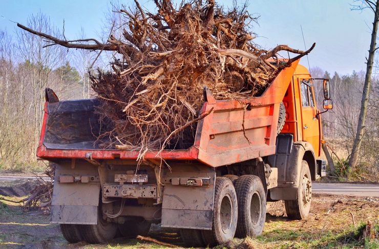 Orange dump truck loaded with a large pile of tree roots and branches on a dirt roadside