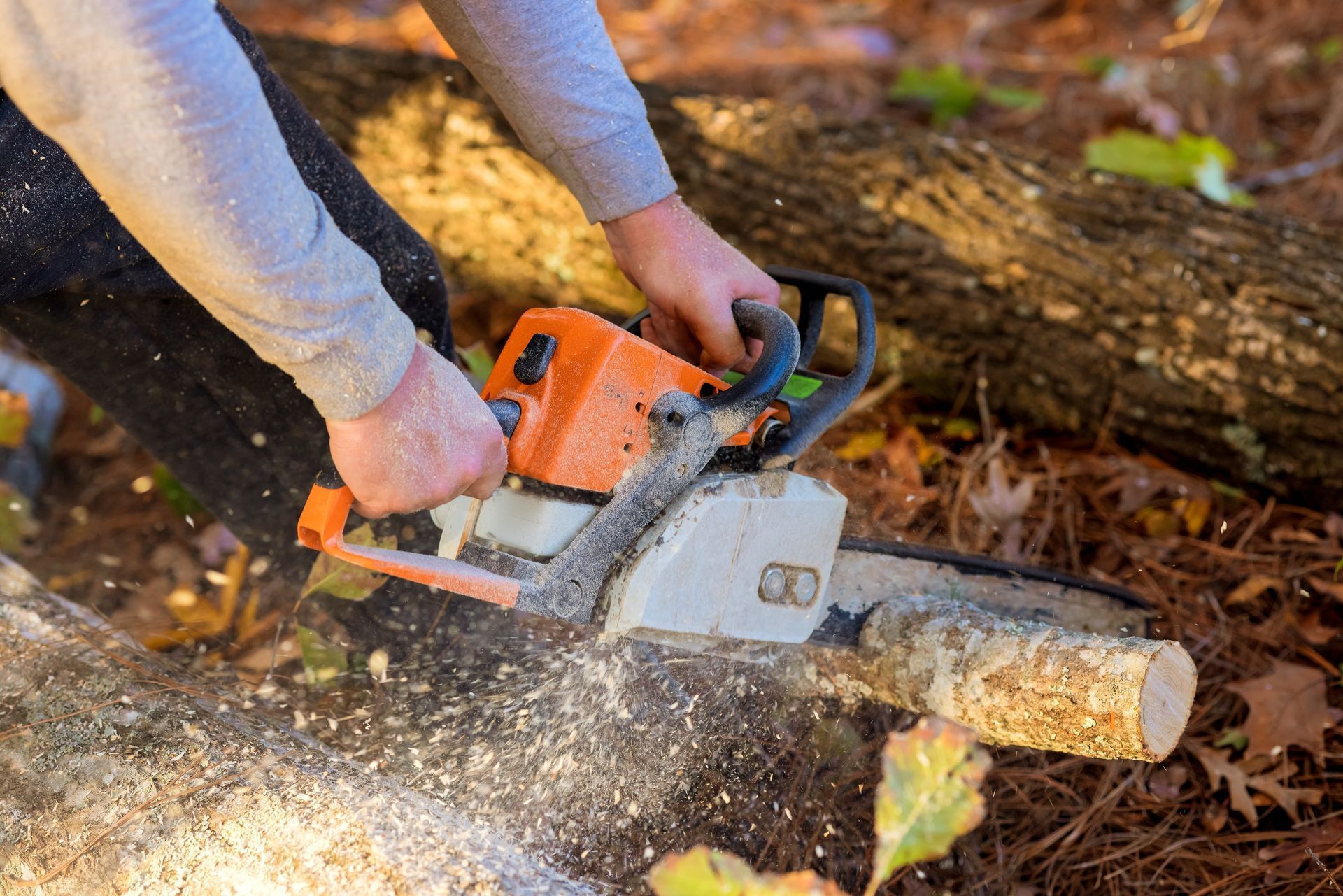 Person using an orange chainsaw to cut a log outdoors, with wood chips flying