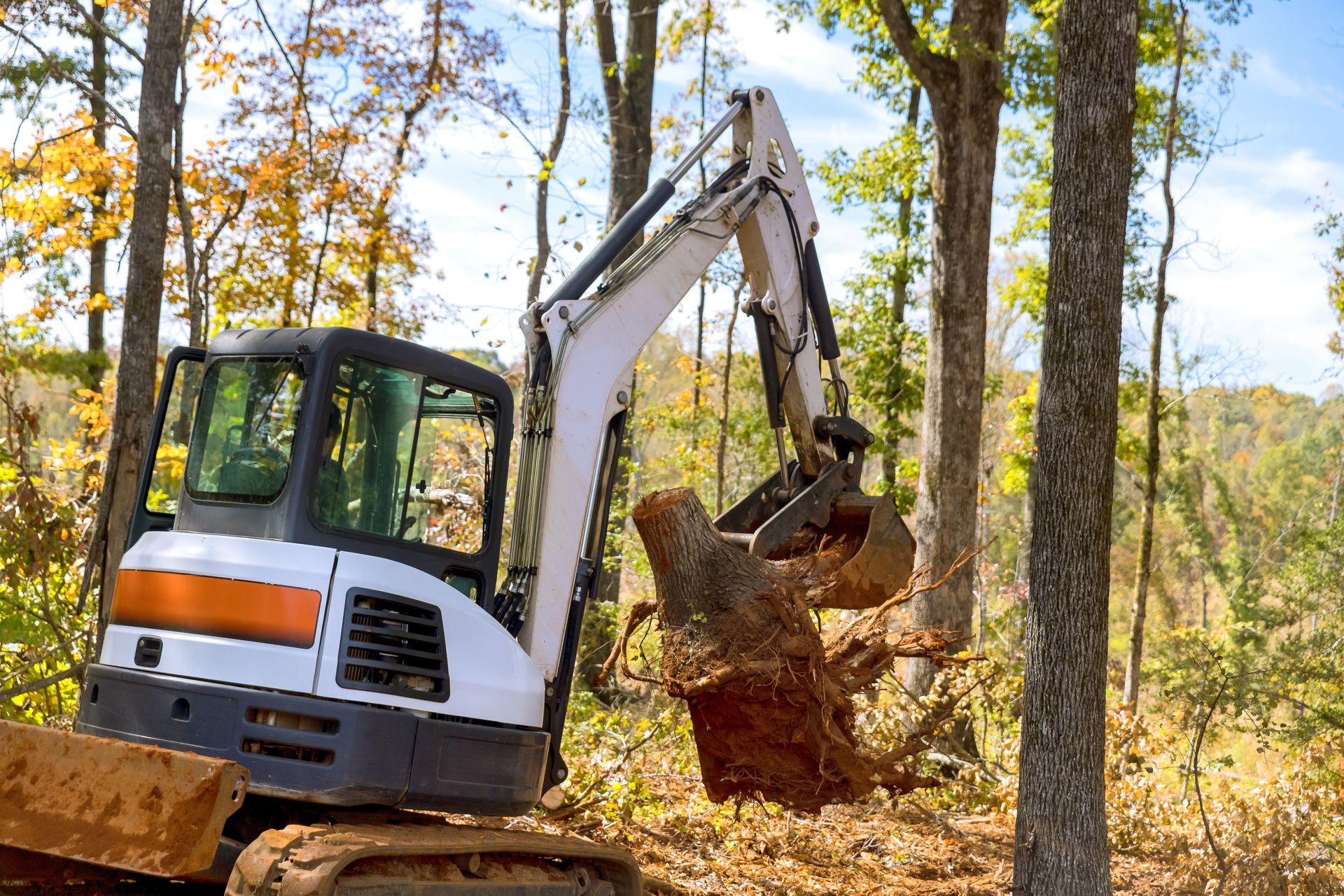 Excavator lifting a large dirt root ball in a wooded area with autumn trees