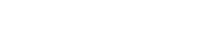 Little Data logo