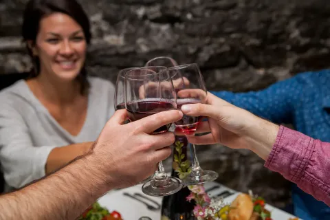 A group of people are toasting with wine glasses at a table.