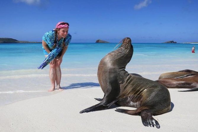 A woman standing next to a seal on a beach