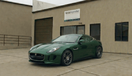 Jaguar