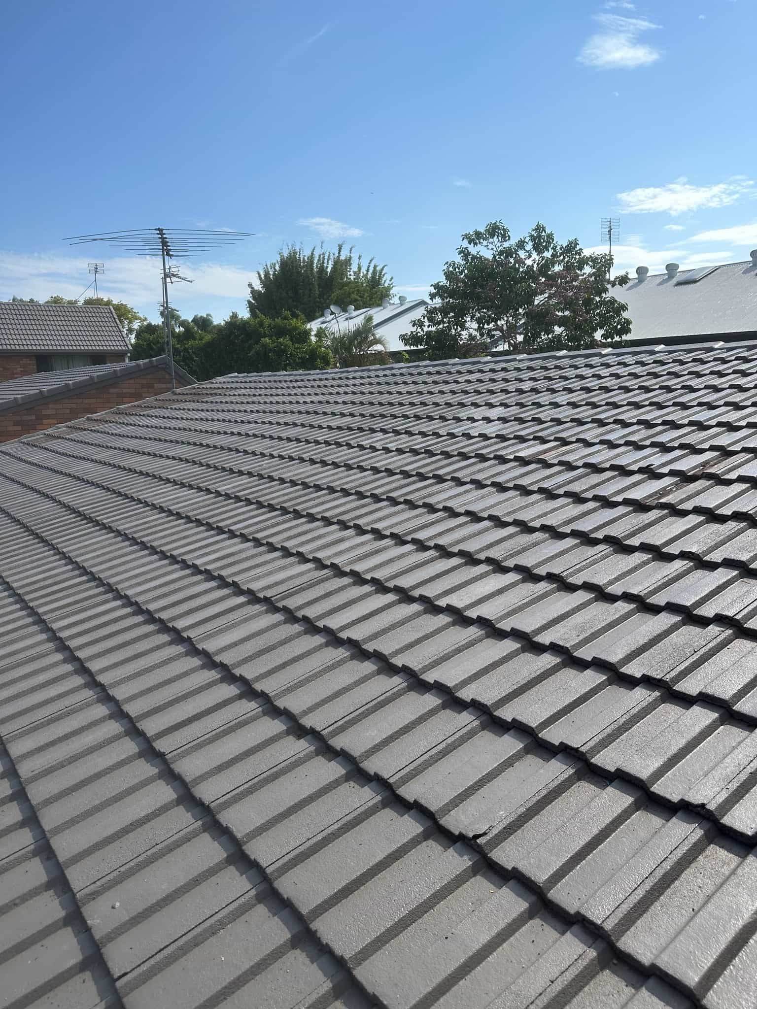 Gray tiled roof with a wavy pattern, blue sky, and trees. — Whirly Bird King in Brisbane, QLD
