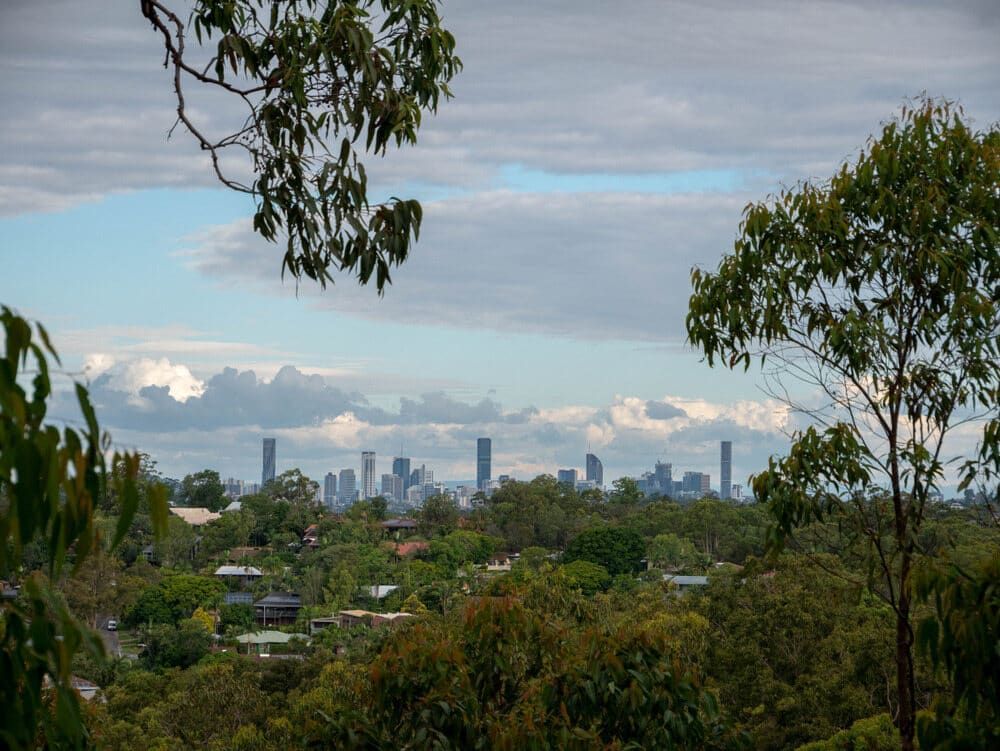 A City Skyline is Visible Through the Trees in the Foreground — Whirly Bird King In Chermside, QLD