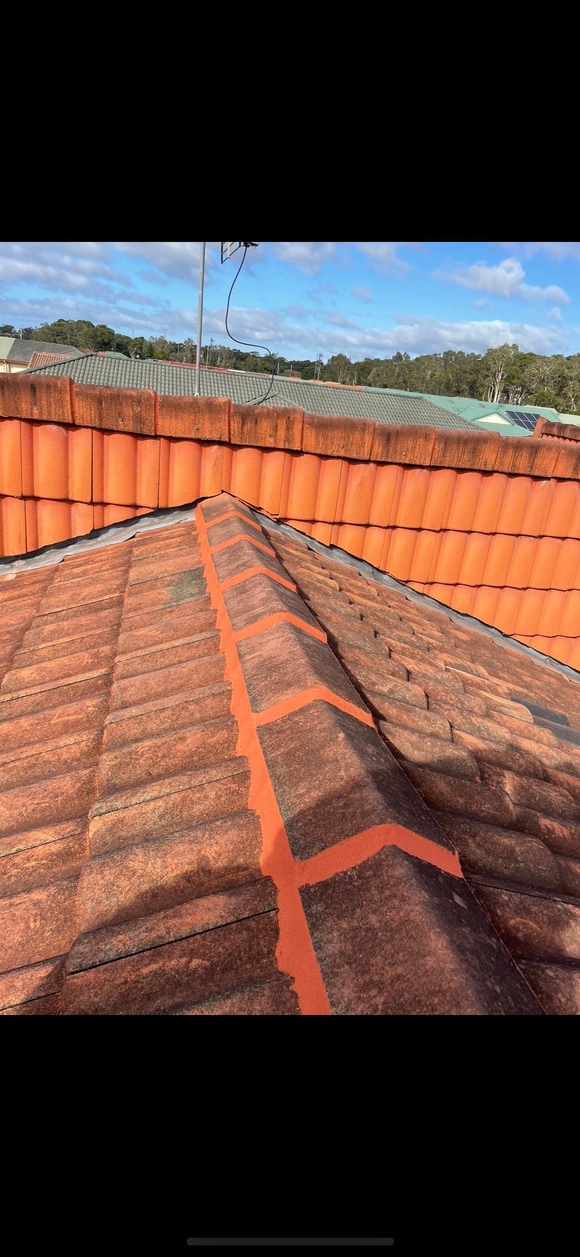 View of a Tiled Roof With Visible Orange Sealant Lines — Whirly Bird King in Buderim, QLD