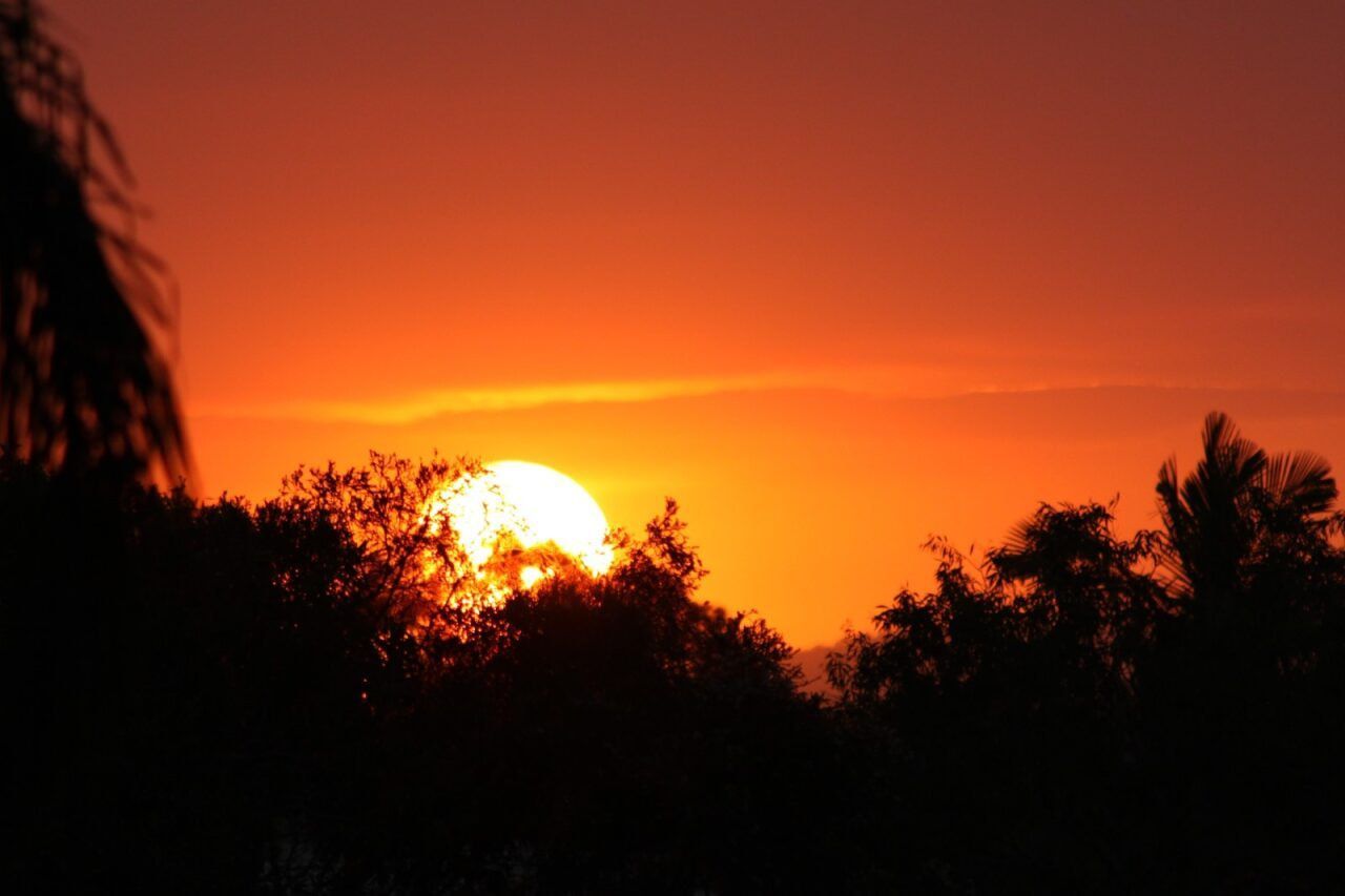 A Sunset With Trees in the Foreground and the Sun in the Background — Whirly Bird King In Aspley, QLD