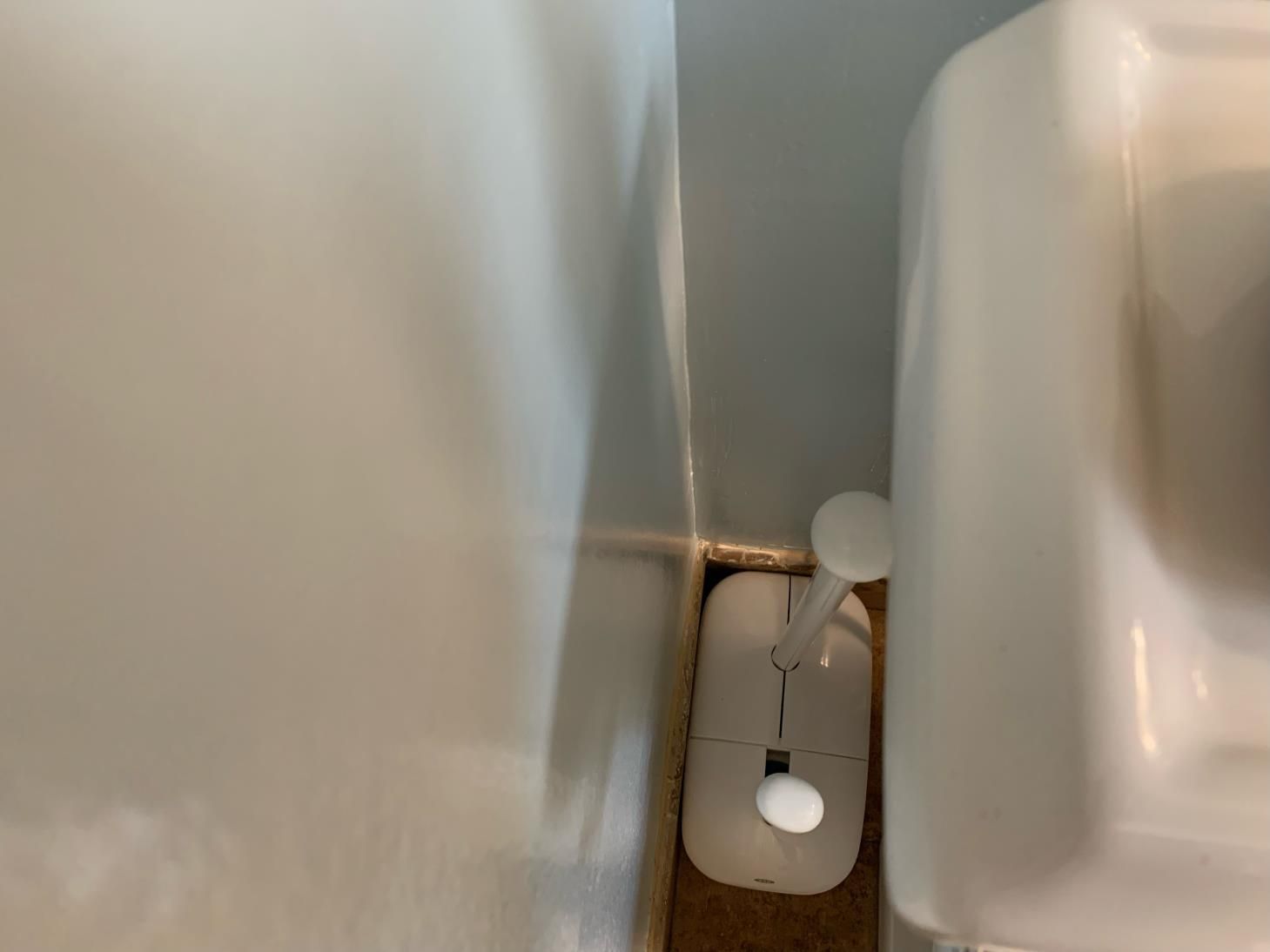 A toilet brush is sitting next to a toilet in a bathroom.