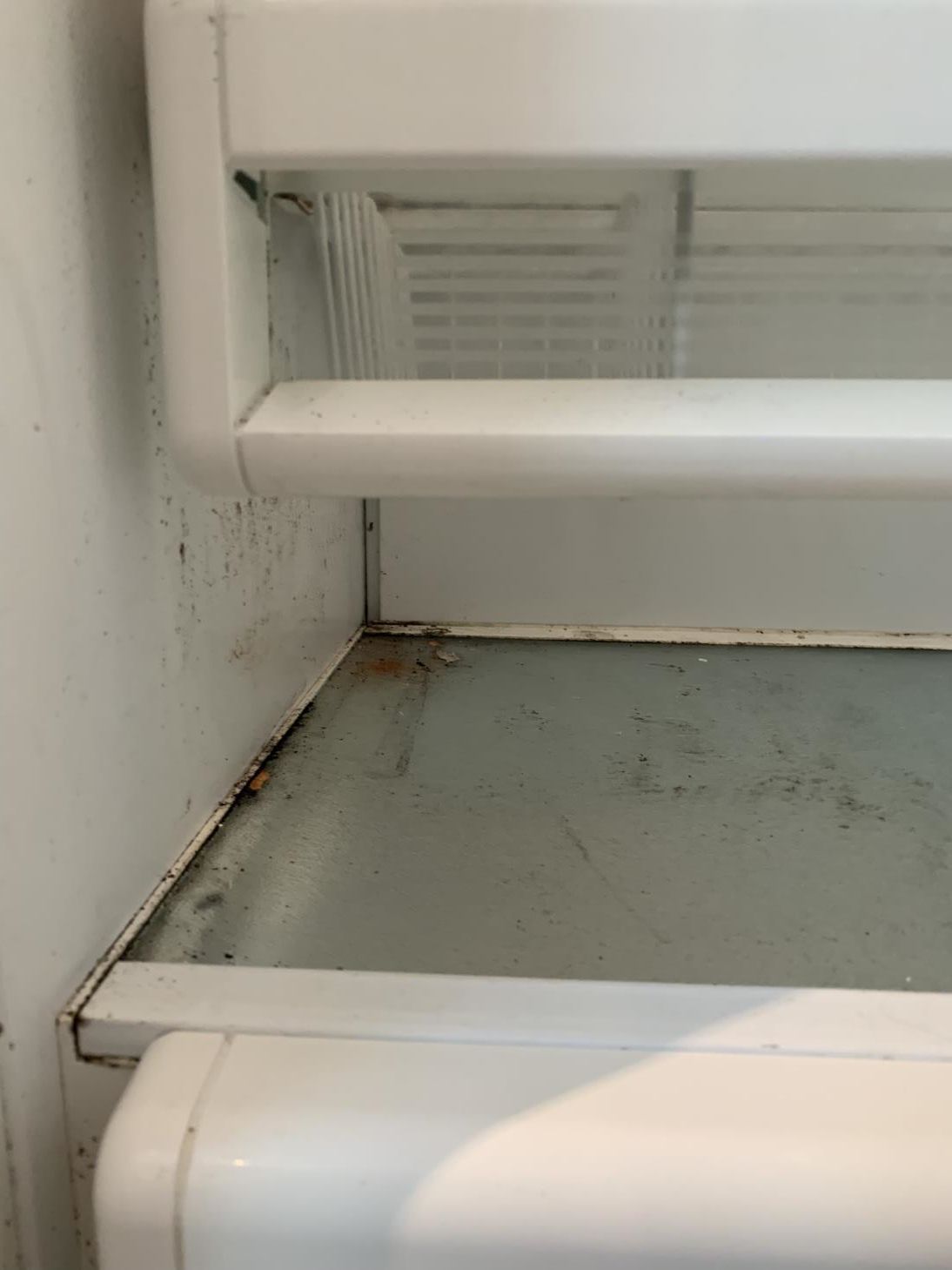 The inside of an empty refrigerator with a dirty bottom shelf.