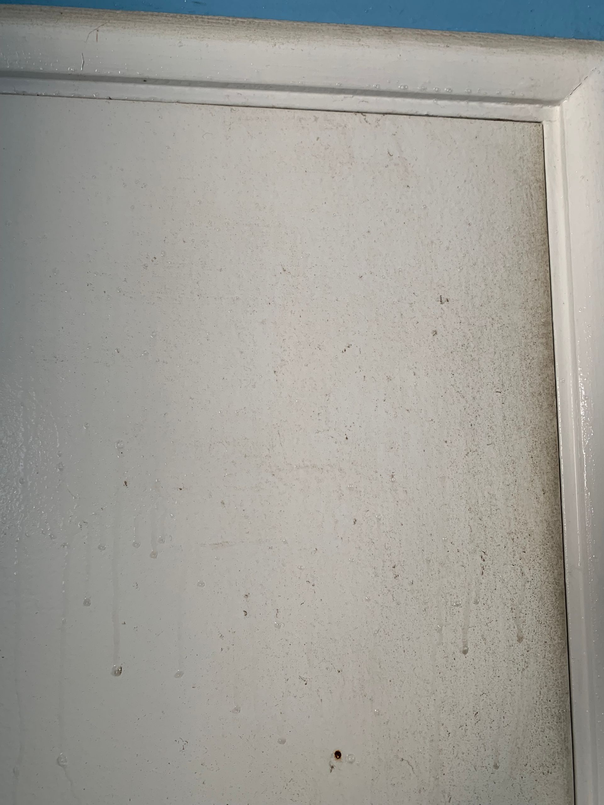 A close up of a white door with a blue trim.