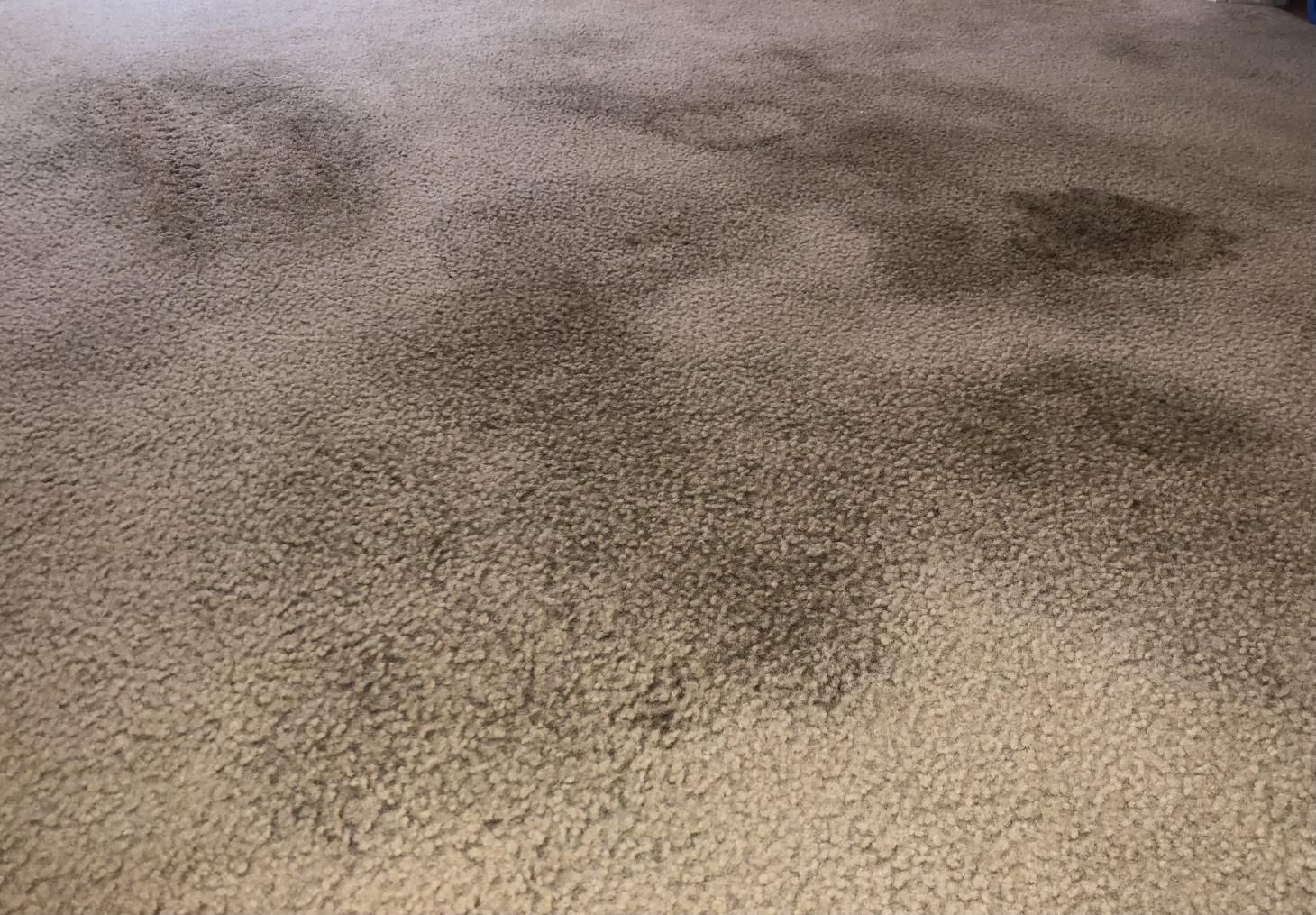 A close up of a carpet with stains on it.
