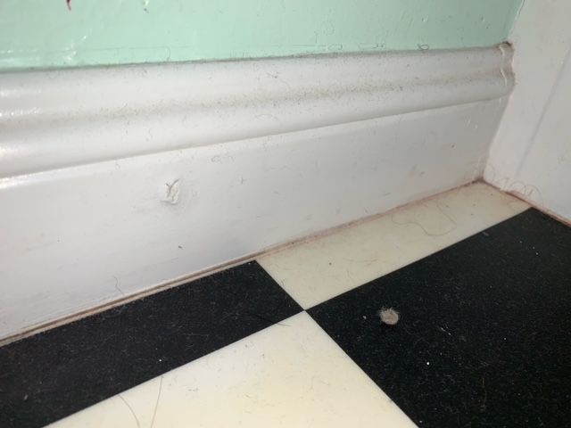 A black and white checkered floor with a white molding