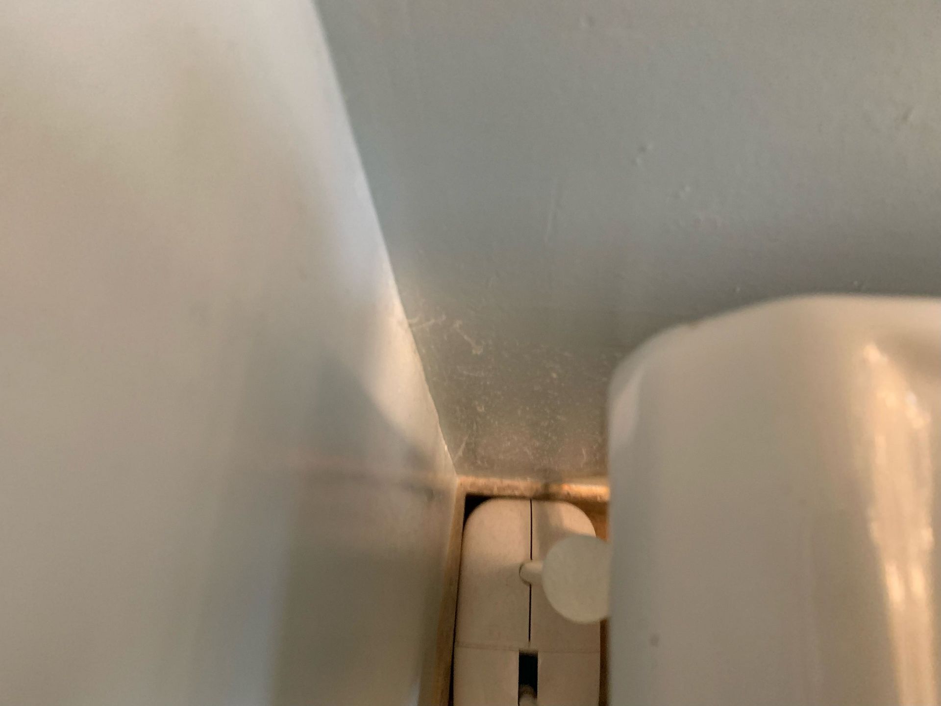 A close up of a toilet paper dispenser in a bathroom.