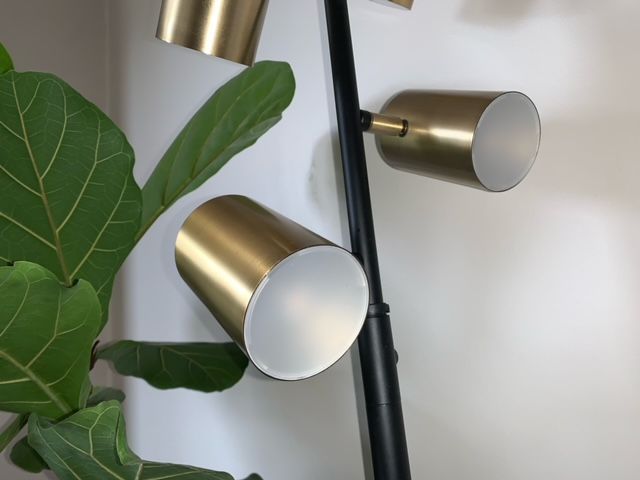 A lamp is sitting next to a plant in a room.