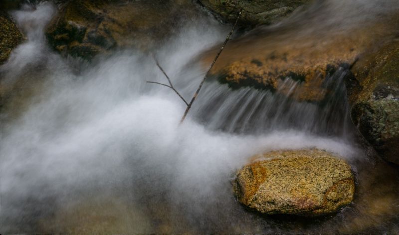 a stream of water is flowing over rocks and a tree branch .
