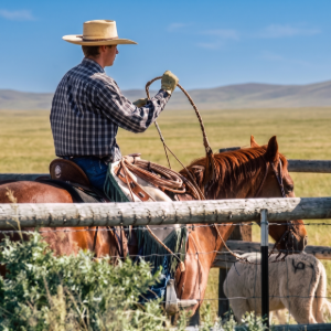 Cowboy in a straw hat riding a brown horse across a grassy field near a fence.