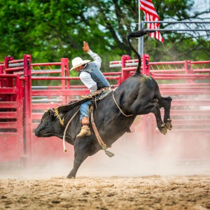Bull rider on a bucking black bull in a dusty rodeo arena, red fencing and an American flag behind.