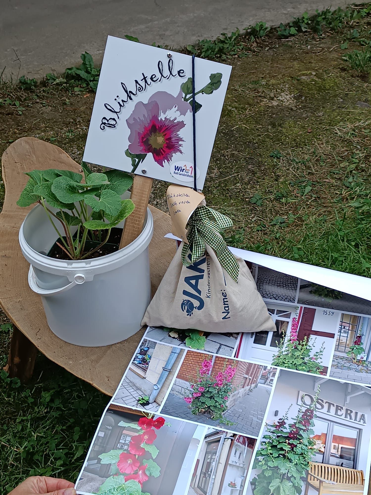 Ein weißer Eimer mit einer Pflanze, ein Schild mit einer Blume und dem Wort „Blinkstelle“ sowie eine Tasche mit einer grünen Schleife.