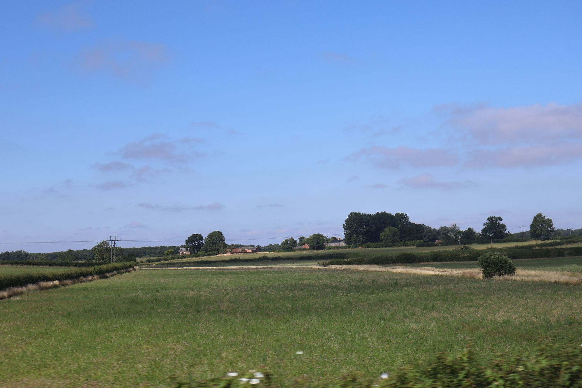Grünes Feld unter blauem Himmel, in der Ferne Bäume und ein Gebäude.