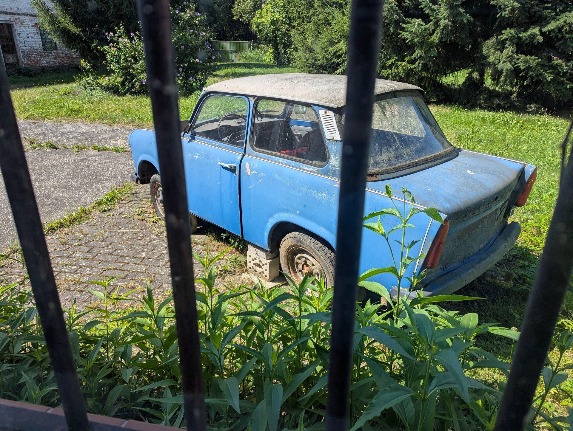 Ein blauer, verwitterter Trabant hinter einem dunklen Metallzaun auf einer Rasenfläche.
