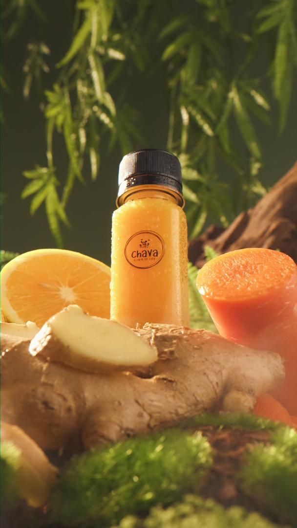 Bottle of orange juice with orange slice, ginger, and carrot in front of green foliage.