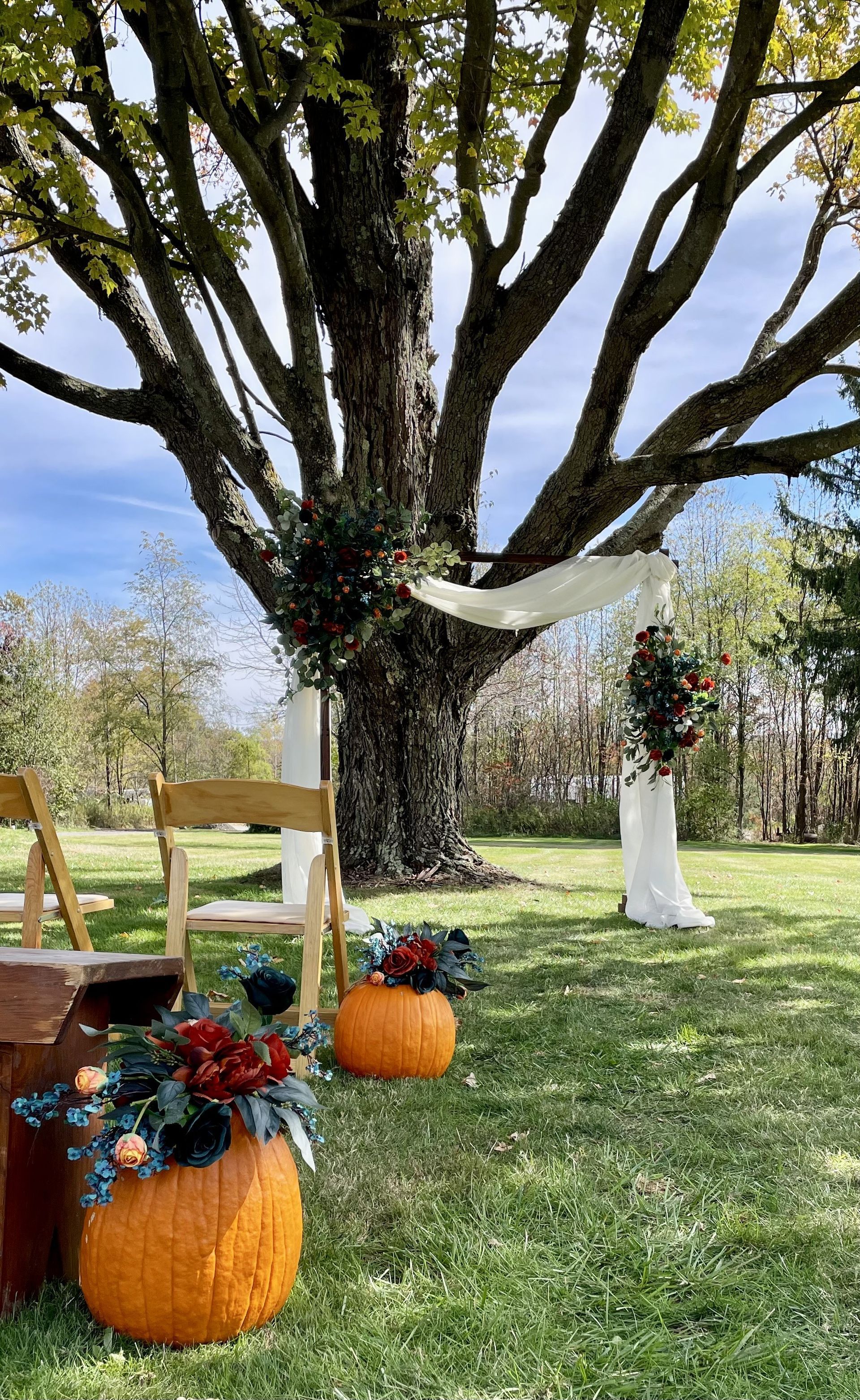 Autumn outdoor display with pumpkins, flowers, and a white ribbon on a large tree in a grassy yard