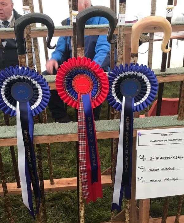 Champion Sticks 2023 at Yetholm Show