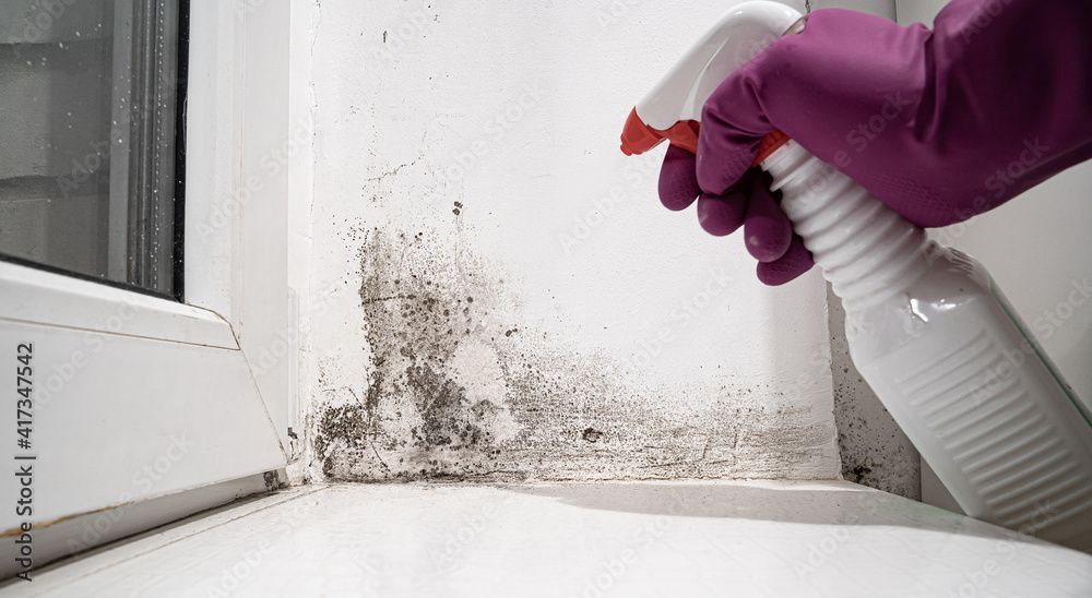 Technician inspecting moisture in a newer O'Fallon, IL home.