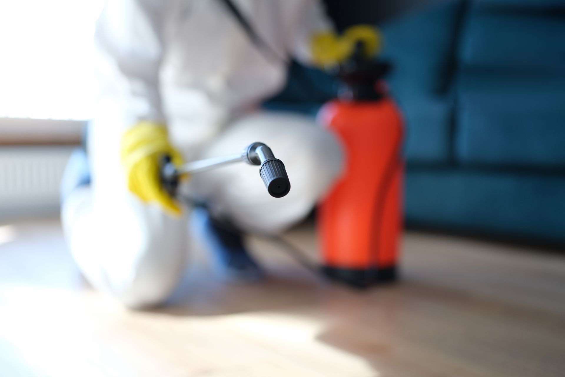 Technician inspecting attic mold in O'Fallon home.