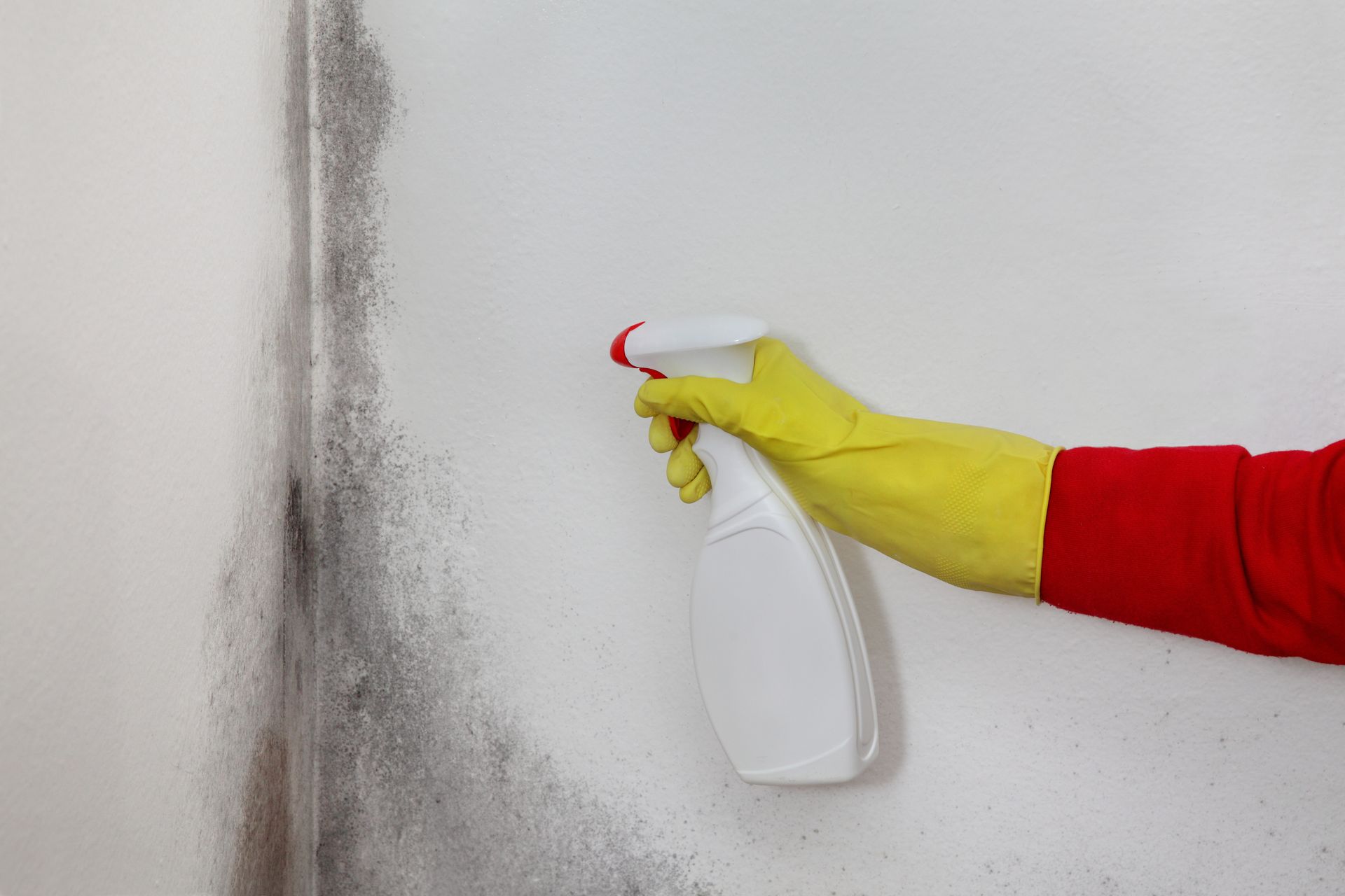Environmental technician working in an older Ferguson home.