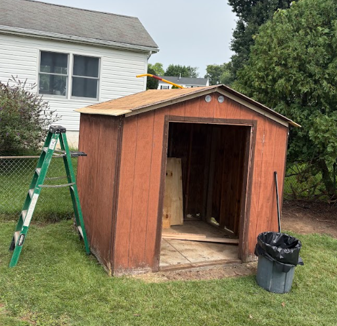 Open wooden shed in a backyard beside a green ladder and black trash can.