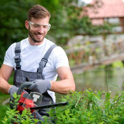 Tree Trimming — Rustburg, VA — Bryant's Tree Service Tree Trimming — Rustburg, VA — Bryant's Tree Service