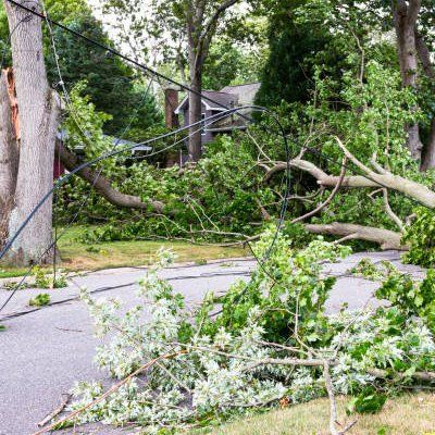 Storm Clean-Up — Rustburg, VA — Bryant's Tree Service Storm Clean-Up — Rustburg, VA — Bryant's Tree Service