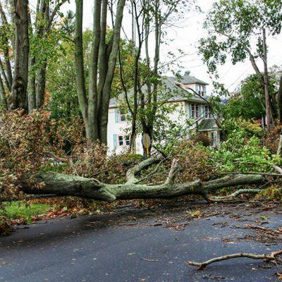 Storm Damage — Rustburg, VA — Bryant's Tree Service Storm Damage — Rustburg, VA — Bryant's Tree Service