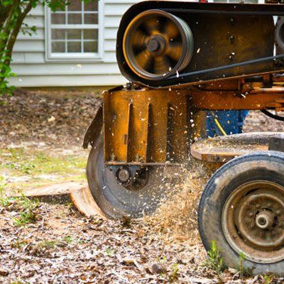 Stump Grinding — Rustburg, VA — Bryant's Tree Service Stump Grinding — Rustburg, VA — Bryant's Tree Service