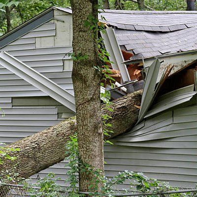 Emergency Tree Service — Rustburg, VA — Bryant's Tree Service