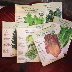 seeds