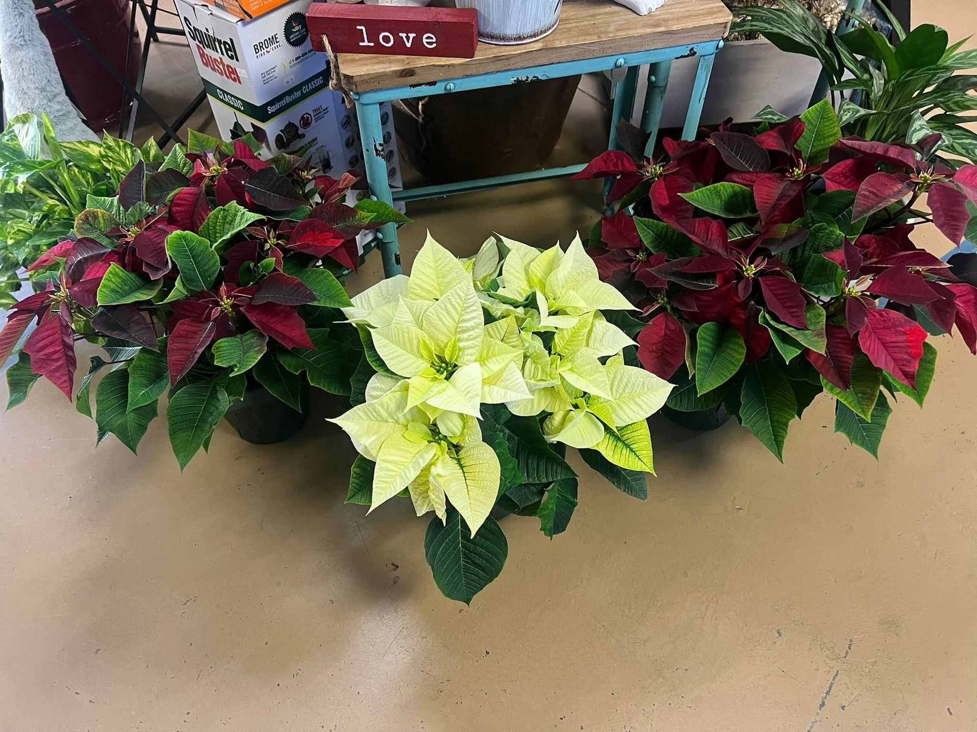 Logan's Garden Hut FuquayVarina, Apex & Clayton, NC Garden Center