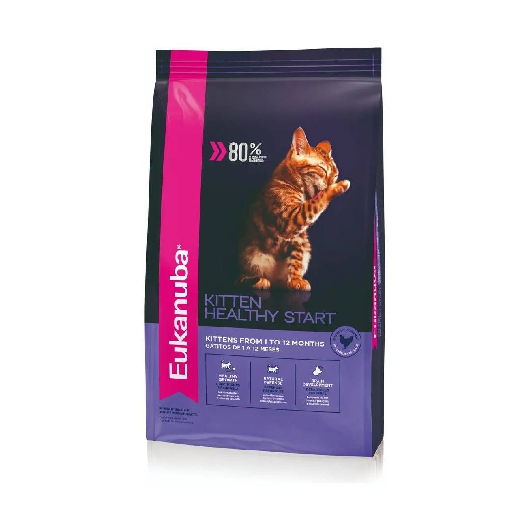 Bolsa de comida para gatitos Eukanuba de color morado con un gatito naranja saltando en la parte delantera.