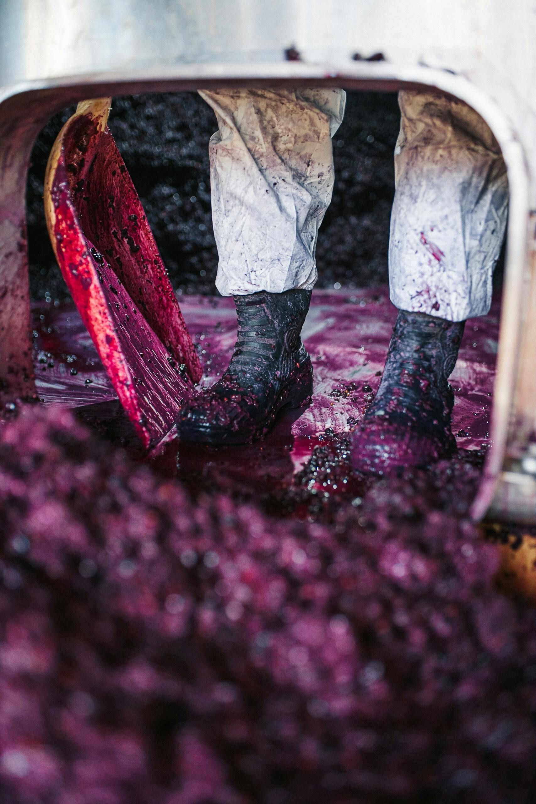 Winemaking Services